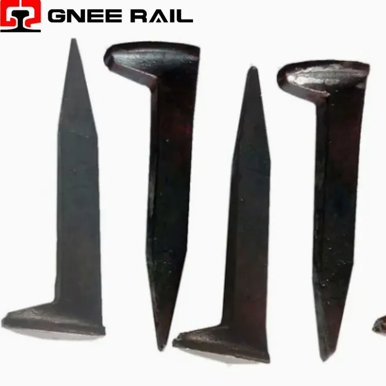 Hondenspikes-systeem