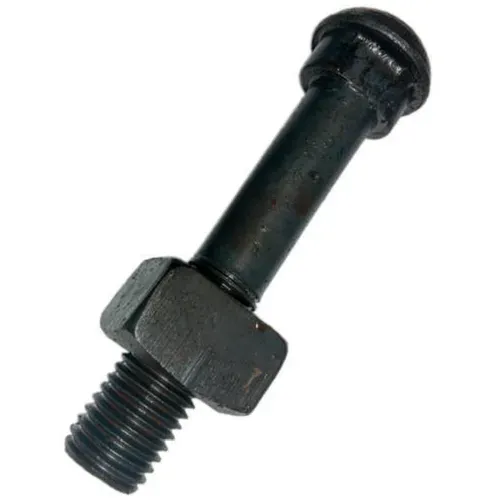 Trackschoenbout met moer om spoorweg te bevestigen